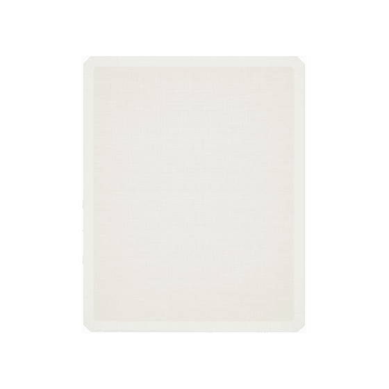 Epson SC-F3000 – Pad antidérapant Platen Grip (C13S210120)