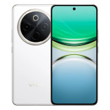 vivo Y300