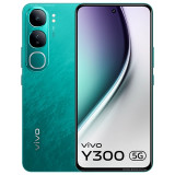 vivo Y300
