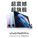 vivo Pad3