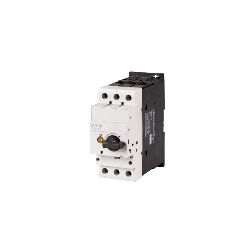 Eaton Interrupteur-sectionneur DC,1000 V,63A (P-SOL60)