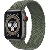 Apple Watch Edition Series 6