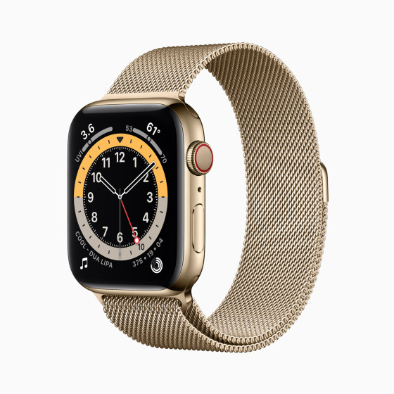 Apple Watch Edition Series 6