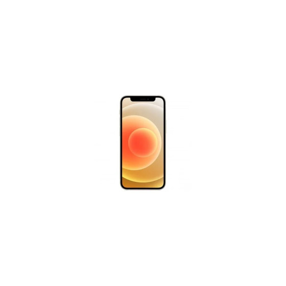 iPhone 12 Mini 256GO