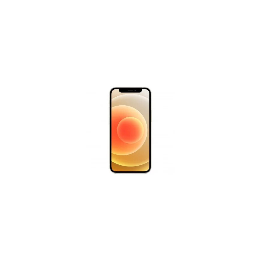 iPhone 12 Mini 256GO