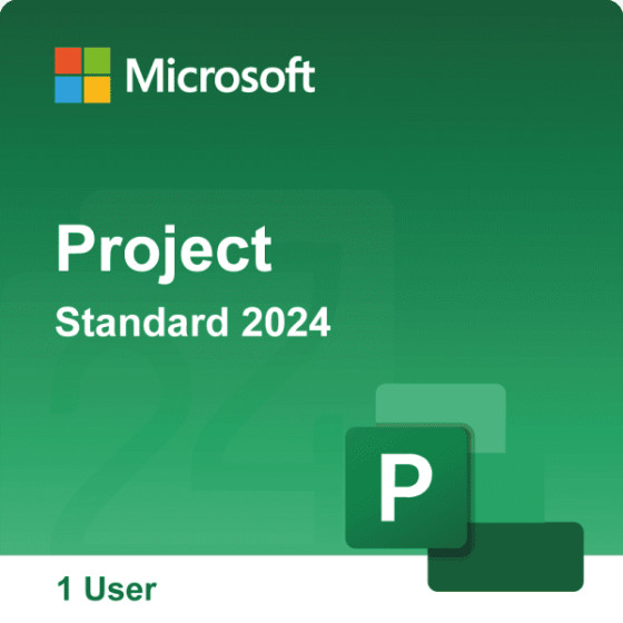 Project Standard 2024