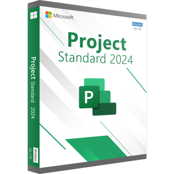 Project Standard 2024