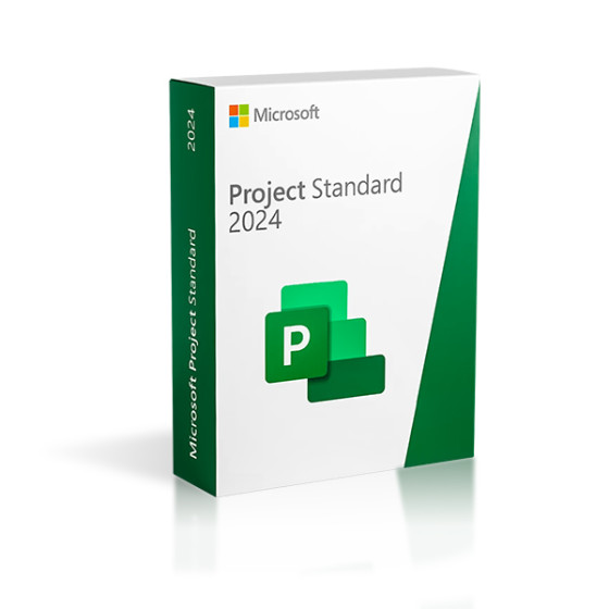 Project Standard 2024