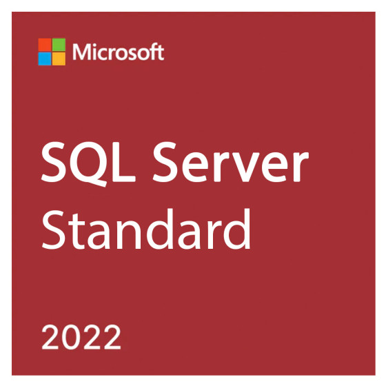 SQL Server 2022 Standard Edition Perpetual 1 Server License