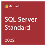 SQL Server 2022 Standard Edition Perpetual 1 Server License