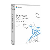 SQL Server 2022 Standard Edition Perpetual 1 Server License