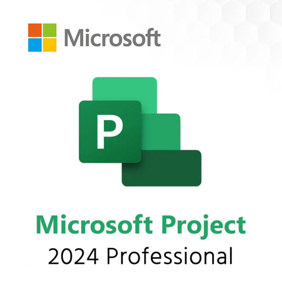 Project Professional 2024