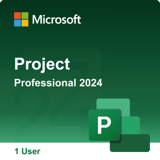 Project Professional 2024