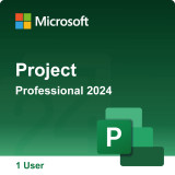 Project Professional 2024