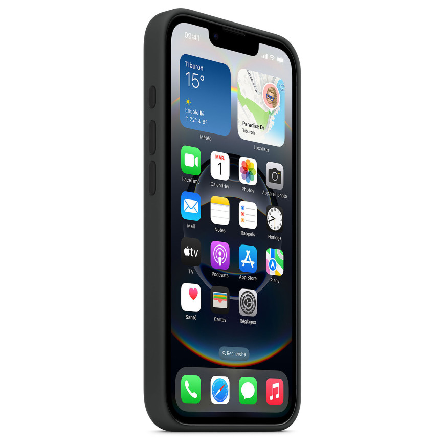 Apple Silicone Case Noir Apple iPhone 16e