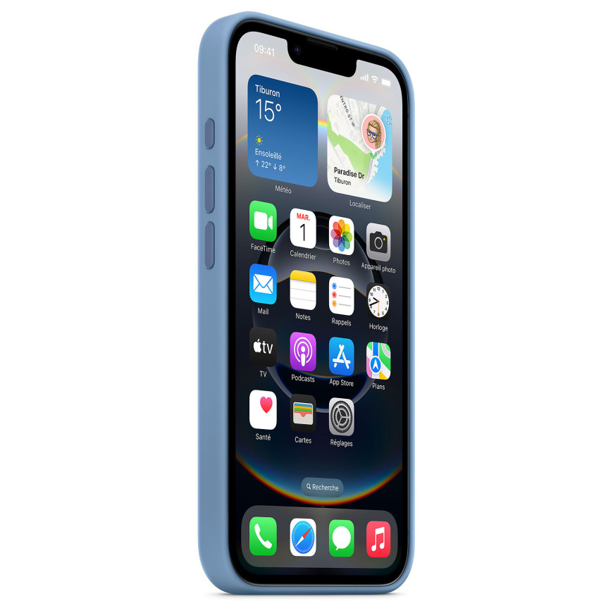 Apple Silicone Case Bleu Hiver Apple iPhone 16e