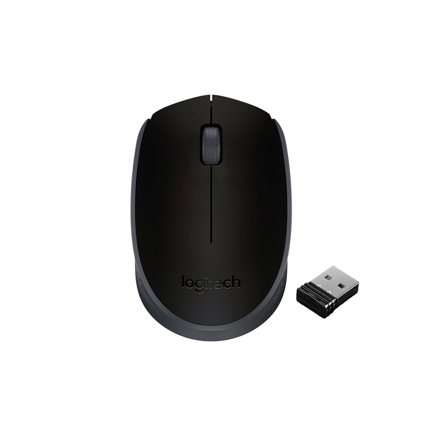 Logitech M171 Souris sans Fil - Noir (910-004424) (5099206062856)