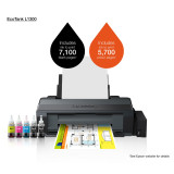 Imprimante Epson EcoTank L1300 A3+ à réservoirs rechargeables (C11CD81403)