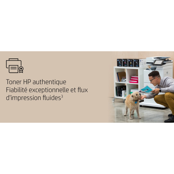 HP 504X noir (CE250XD) - pack de 2 toners grande capacité HP LaserJet d'origine