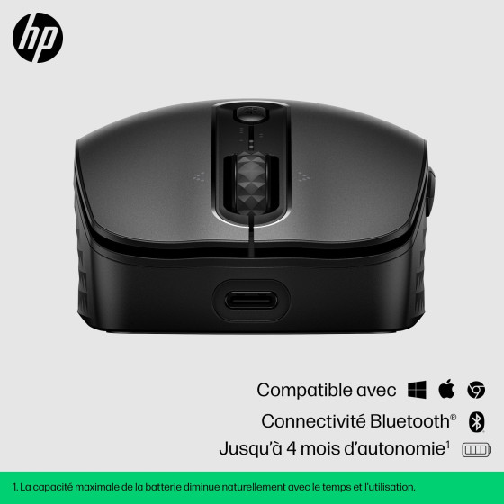 Souris sans fil Bluetooth HP 690 (7M1D4AA)