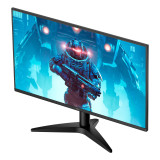 Écran PC 23.8 pouces Full HD (24B36X)