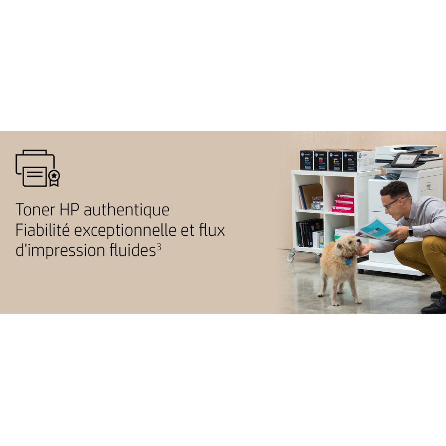 HP 504X noir (CE250XD) - pack de 2 toners grande capacité HP LaserJet d'origine
