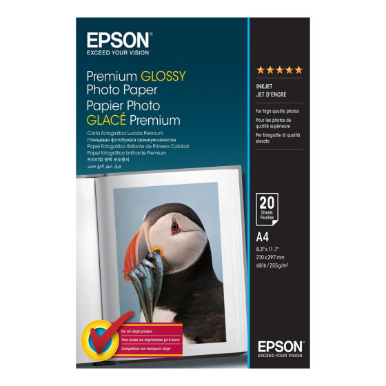 Epson Premium Glossy Photo Paper A4 - Papier photo haut de gamme (C13S041287)