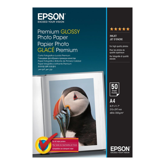Epson Premium Glossy Photo Paper - Papier photo glacé A4 - 50 Feuilles (C13S041624)