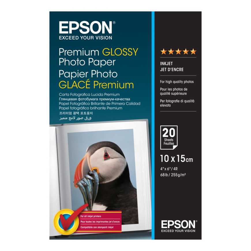 Epson Premium Glossy Photo Paper - Papier photo brillant 10x15cm (C13S041706)