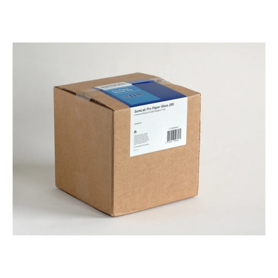 Epson SureLab Pro Paper Glossy 285 – Rouleau de papier photo glacé (C13S045436)