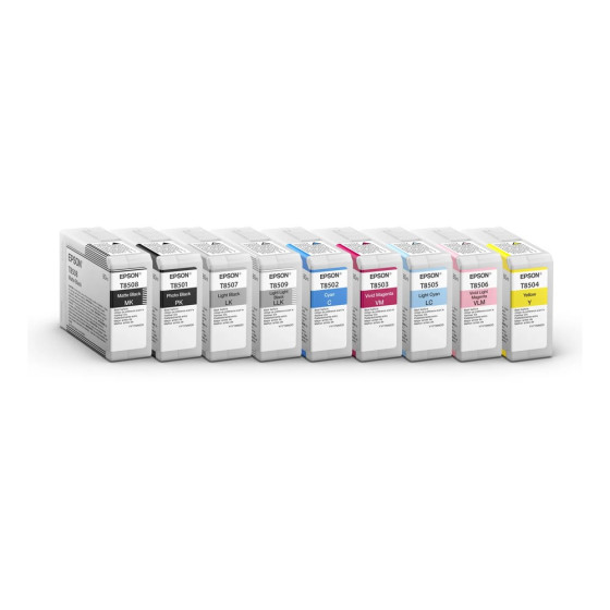 Cartouche d'encre Epson T850100 – noire Ultrachrome HD (C13T850100)