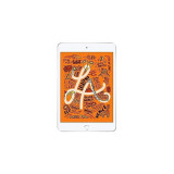 Apple iPad Mini Wi-Fi 64 Go (MUQW2NF/A)