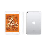 Apple iPad Mini Wi-Fi 64 Go (MUQW2NF/A)