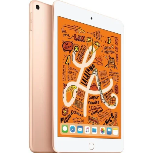 APPLE IPAD MINI WI-FI 256 GO (MUU62NF/A) - iPad mini - Rightech - le bon choix