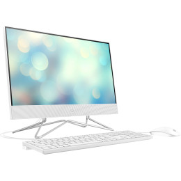 Ordinateur tout-en-un HP 22-dd1001nk