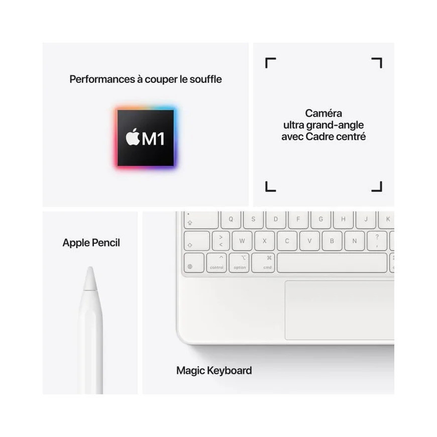Apple - 12,9" iPad Pro (2021) Wi-Fi 512GO (MHNK3NF/A)