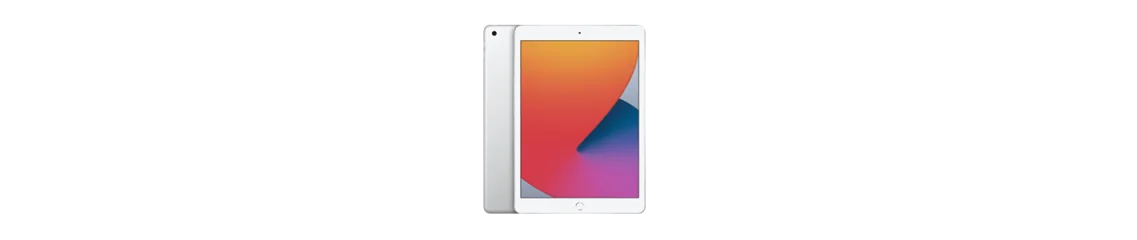 iPad 10.2''